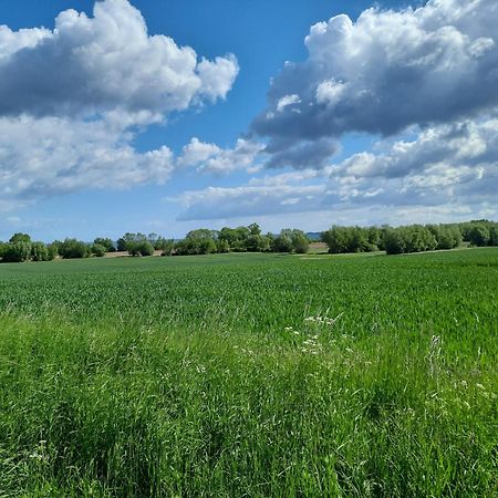 Pension Landidylle Wohlenhagen Екстериор снимка