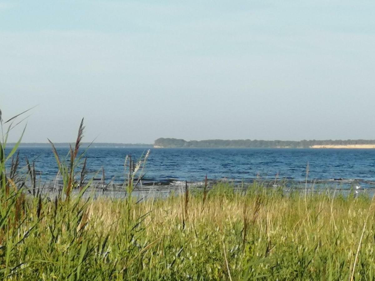 Pension Landidylle Wohlenhagen Екстериор снимка